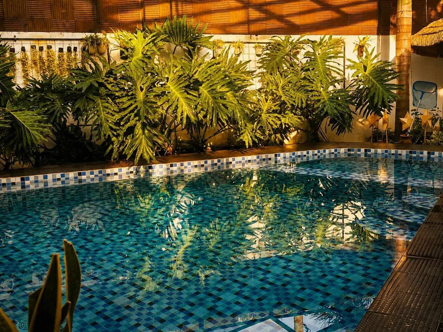 Night Swimming Pool
